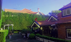 garden care services Mosman garden care services Mosman