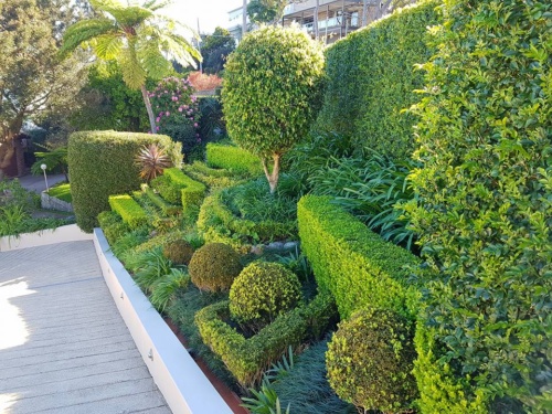 garden maintenance services Mosman garden maintenance services Mosman