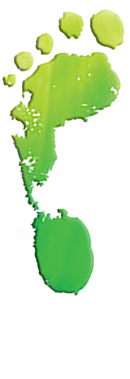 grasscare